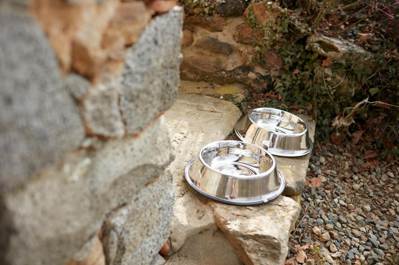 Villetta Con Giardino ⭑⭑⭑⭑⭑ - Wifi, Dogs Allowed ビエッラ エクステリア 写真
