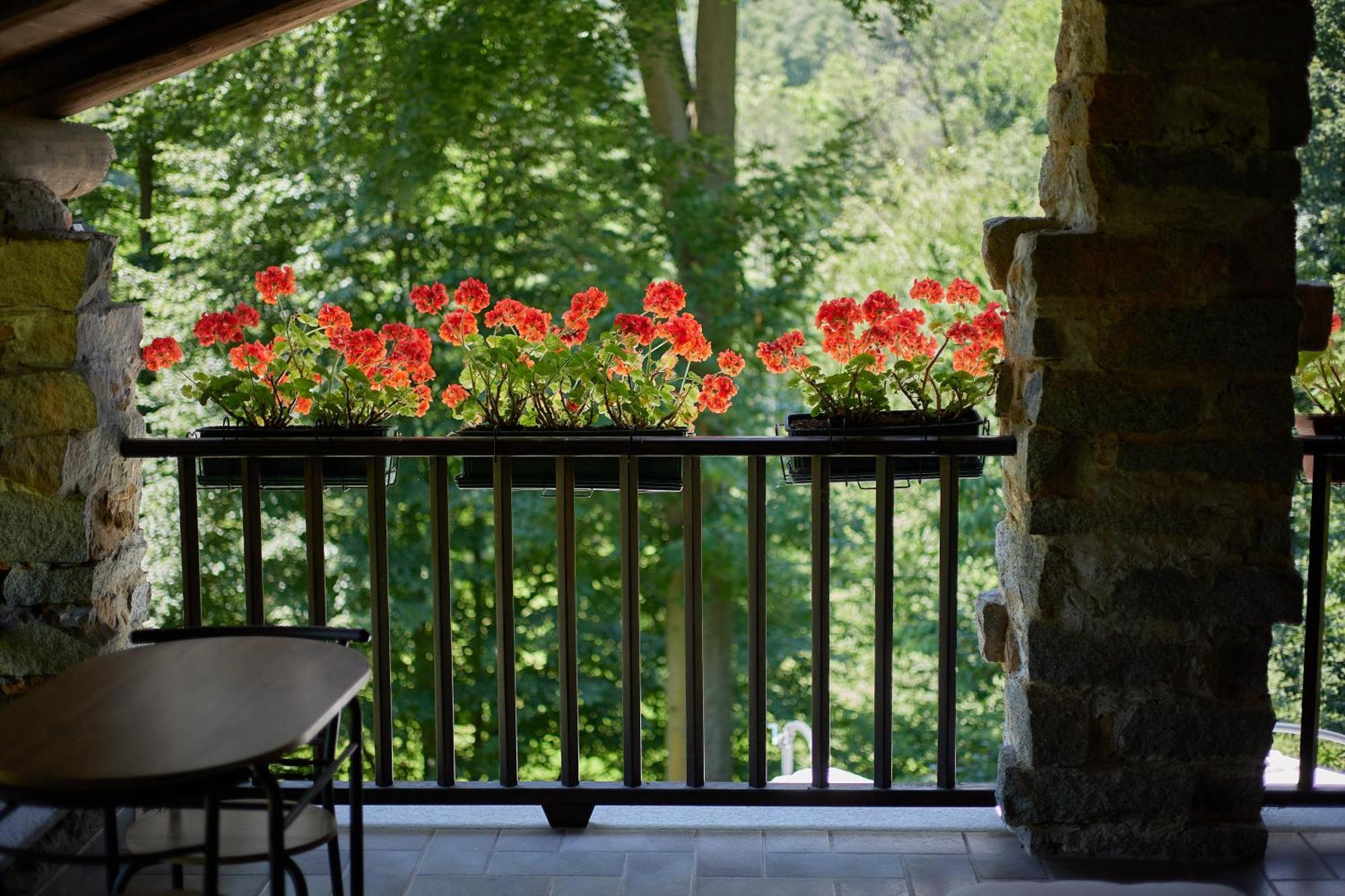 Villetta Con Giardino ⭑⭑⭑⭑⭑ - Wifi, Dogs Allowed ビエッラ エクステリア 写真